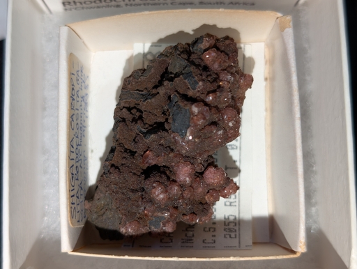 Rhodochrosite