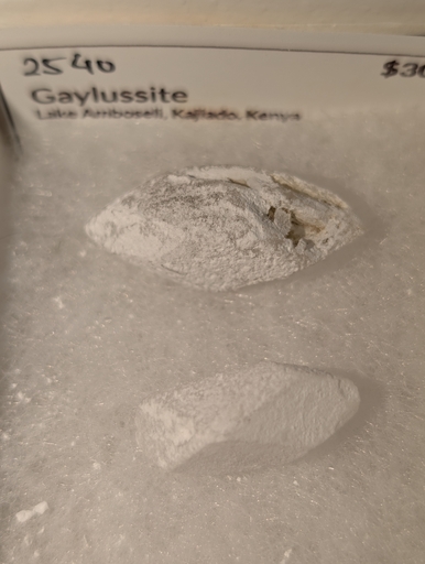 Gaylussite